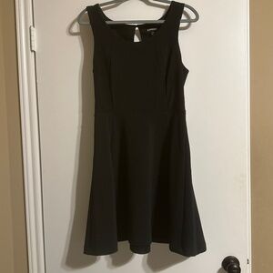 Express A-line dress